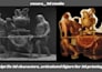 sculpt fix 3d characters, articulated figure for 3d printing